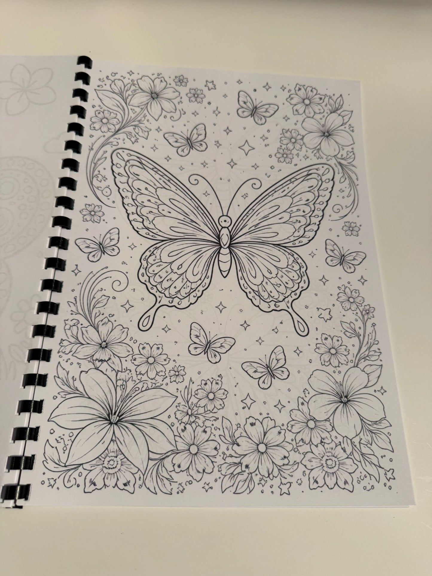 Butterfly Colouring Book
