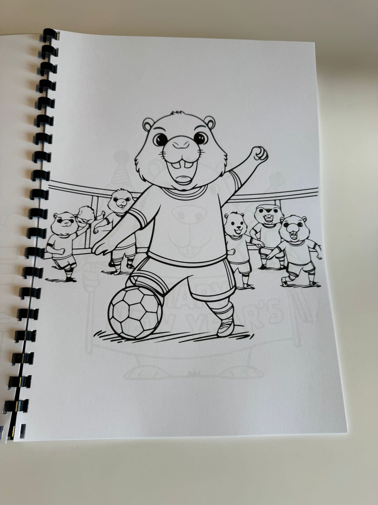 Capybara Colouring Book