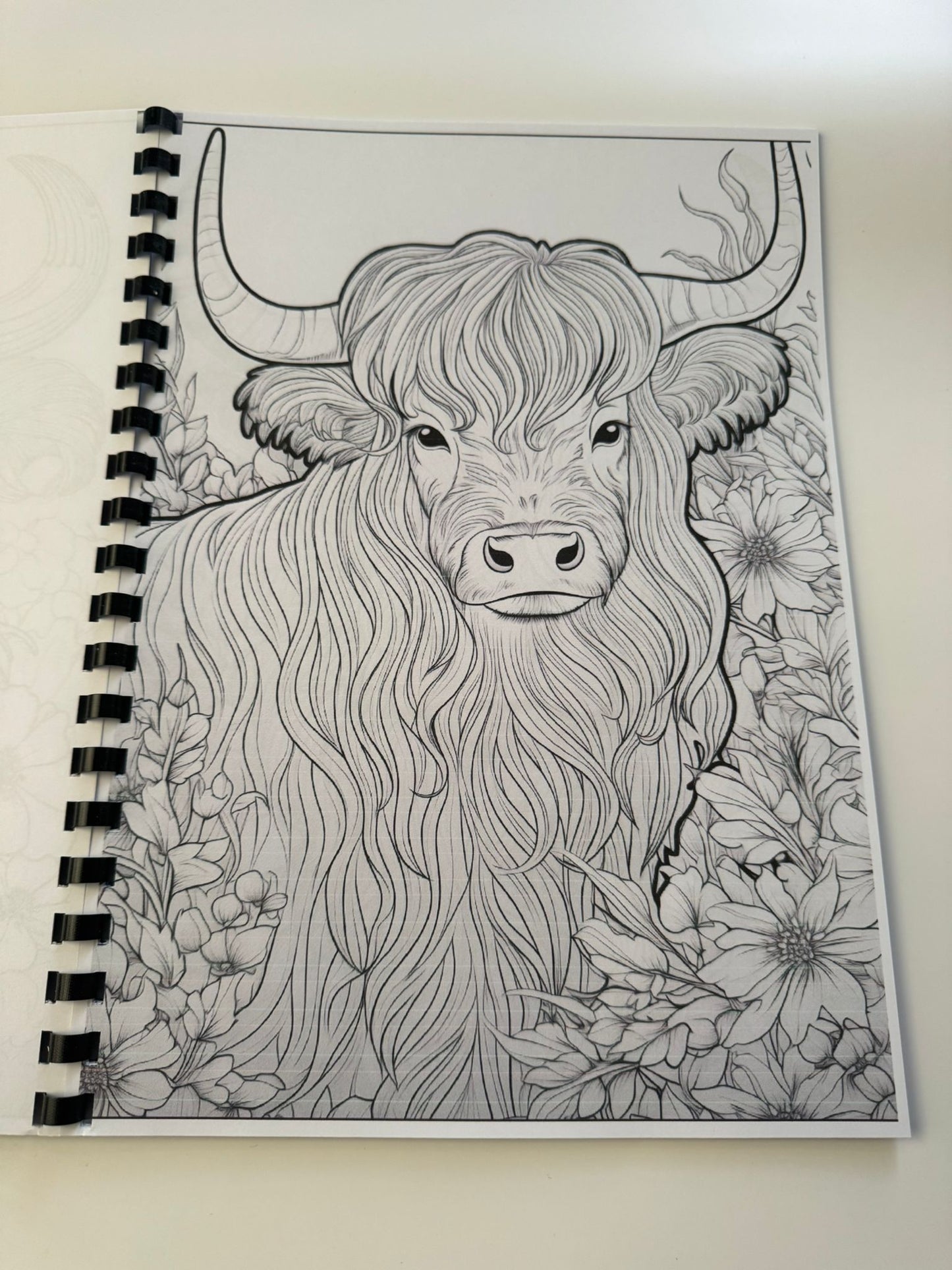 Highland Cow Colouring Book