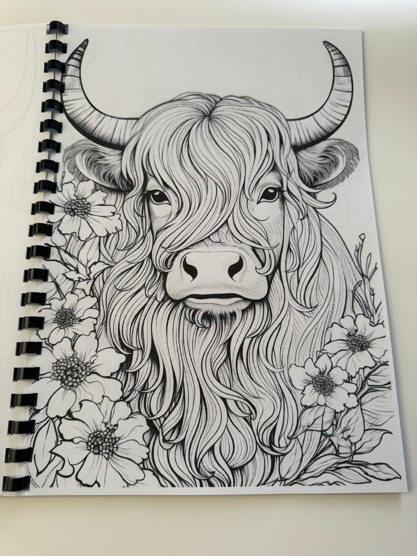 Highland Cow Colouring Book