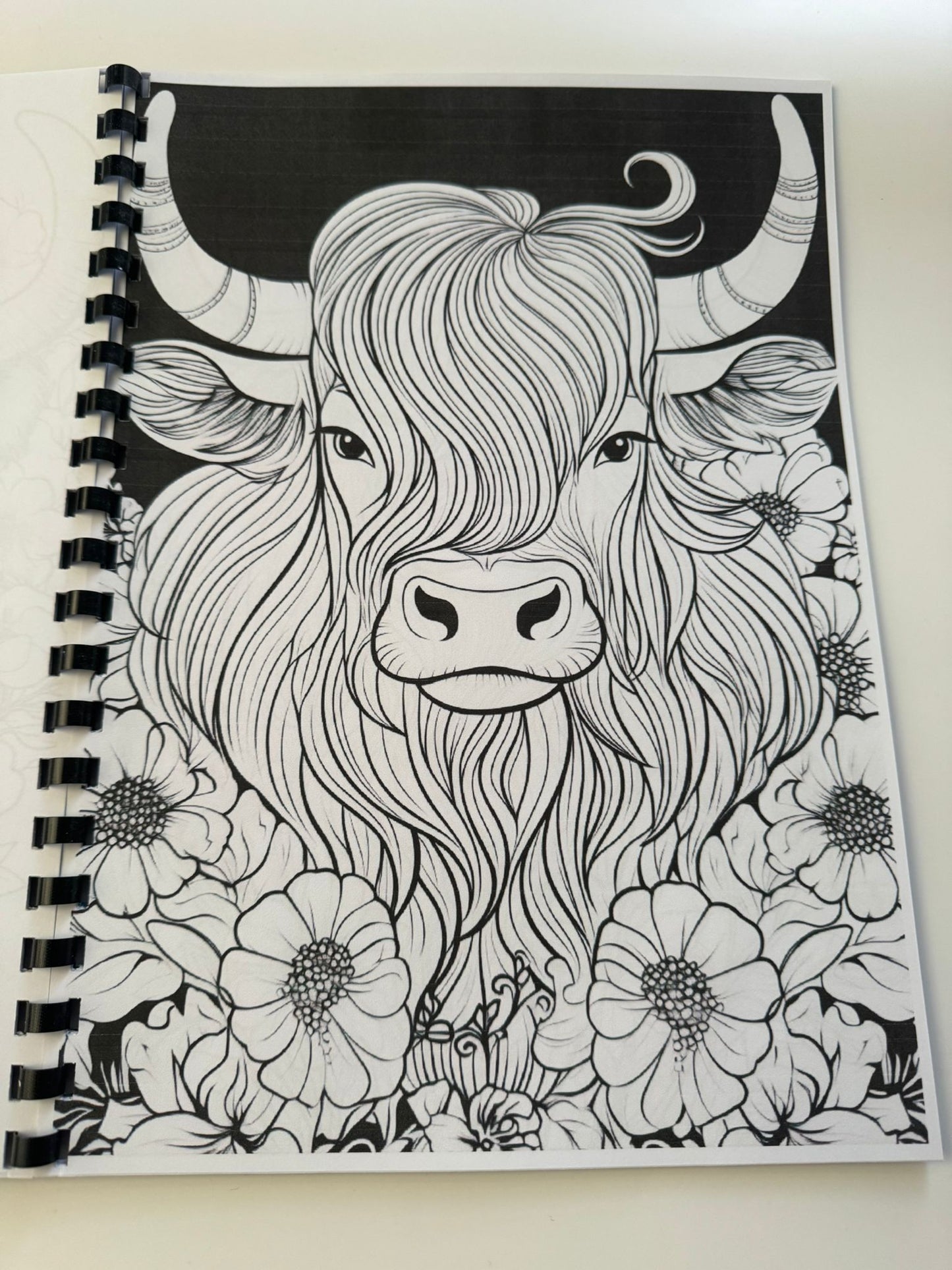 Highland Cow Colouring Book