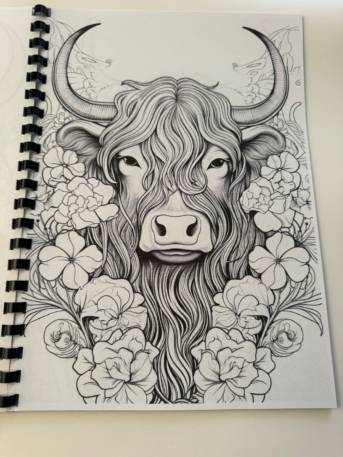 Highland Cow Colouring Book