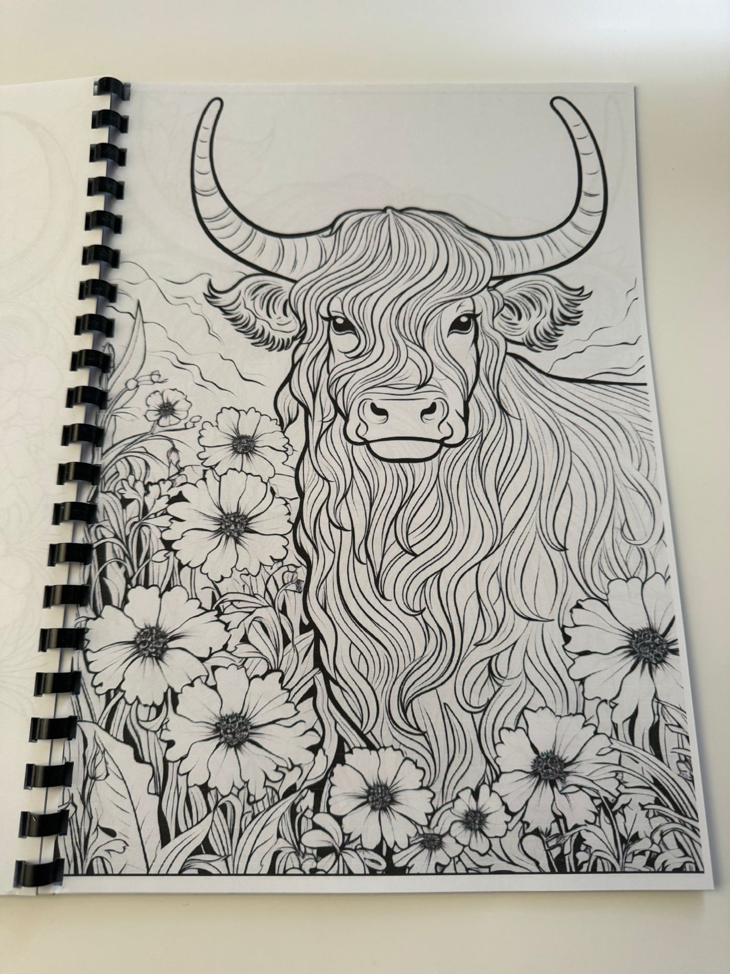 Highland Cow Colouring Book