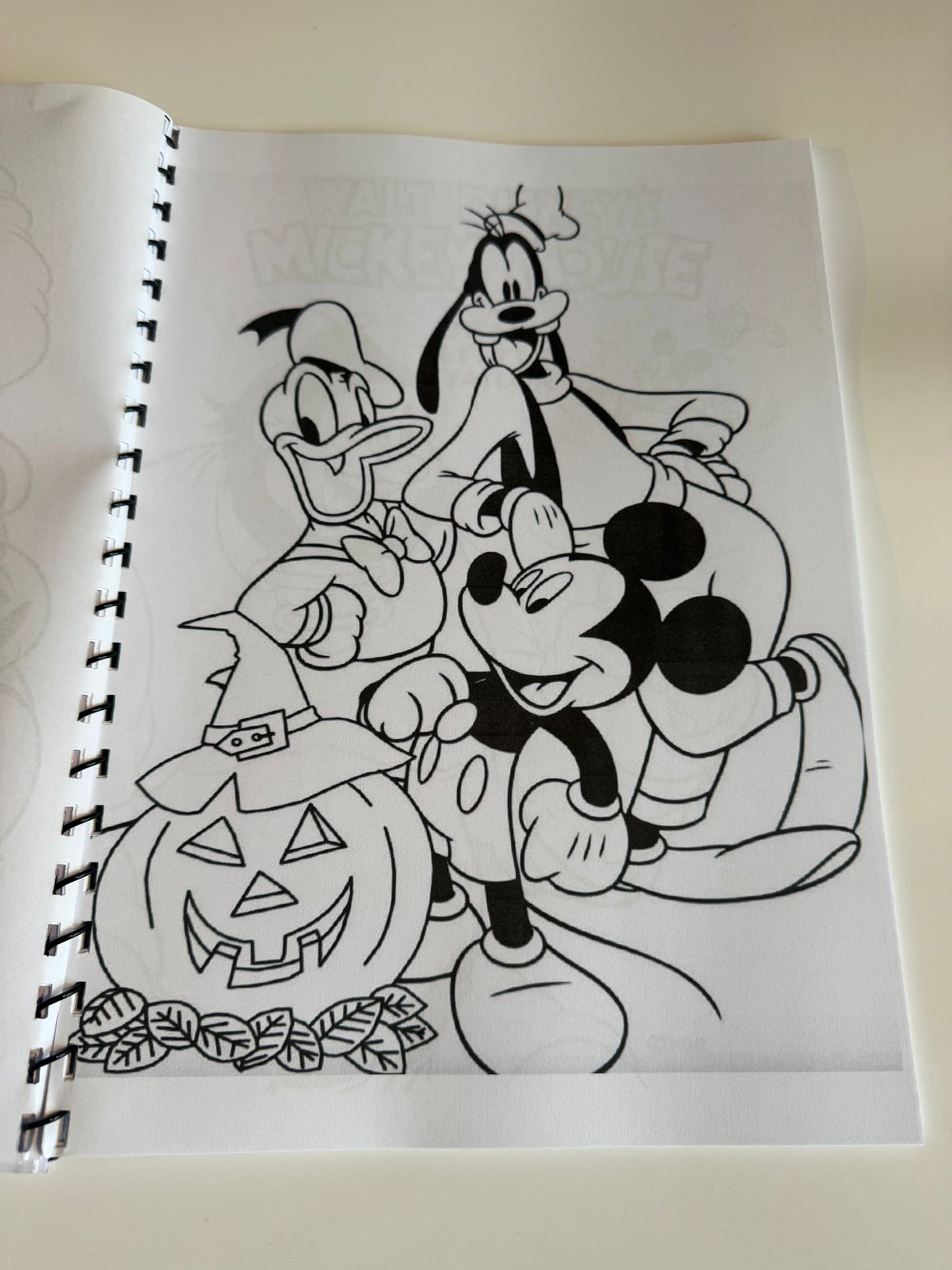 Mickey Mouse Colouring Book