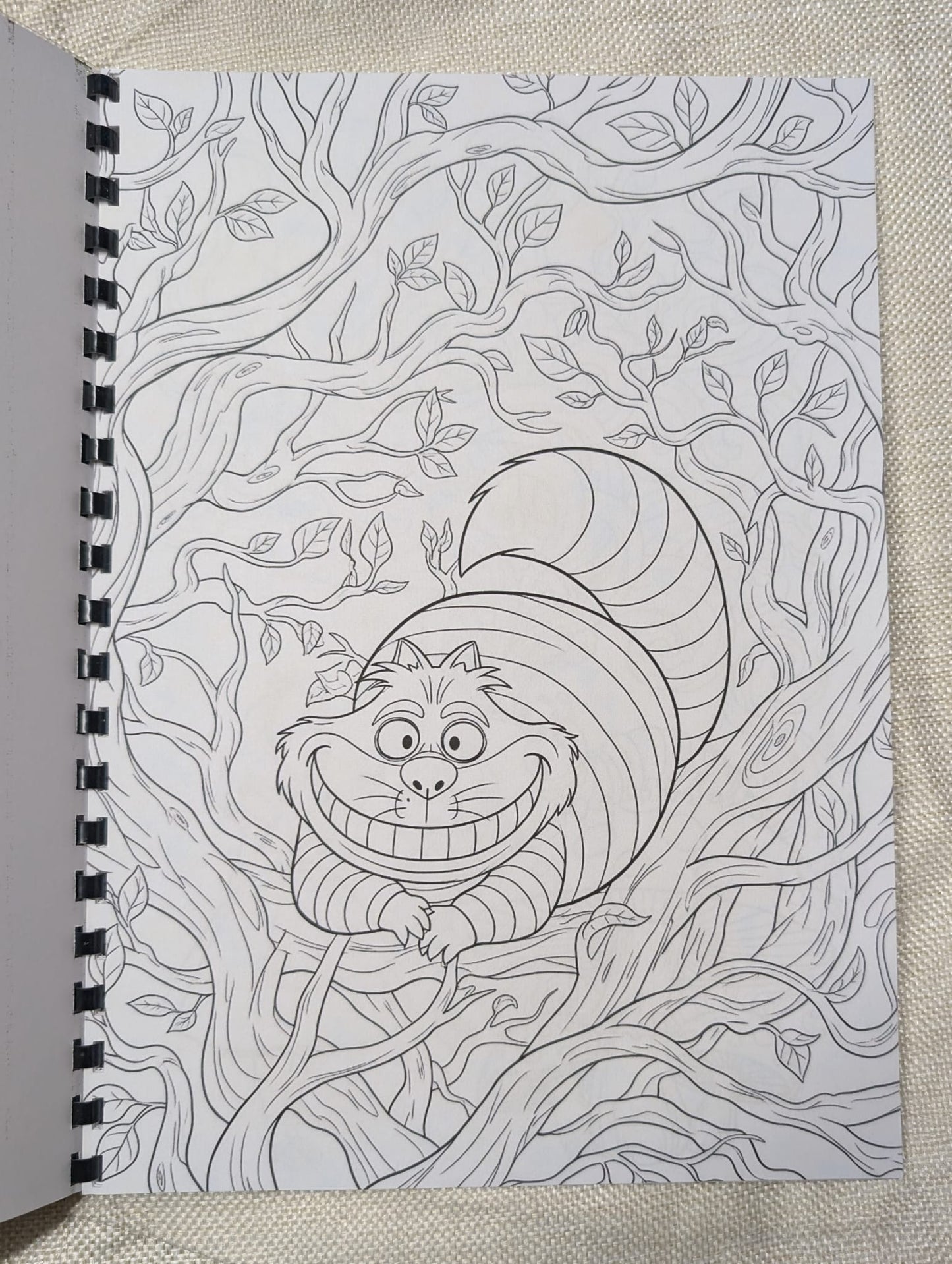 Alice in Wonderland Colouring Book