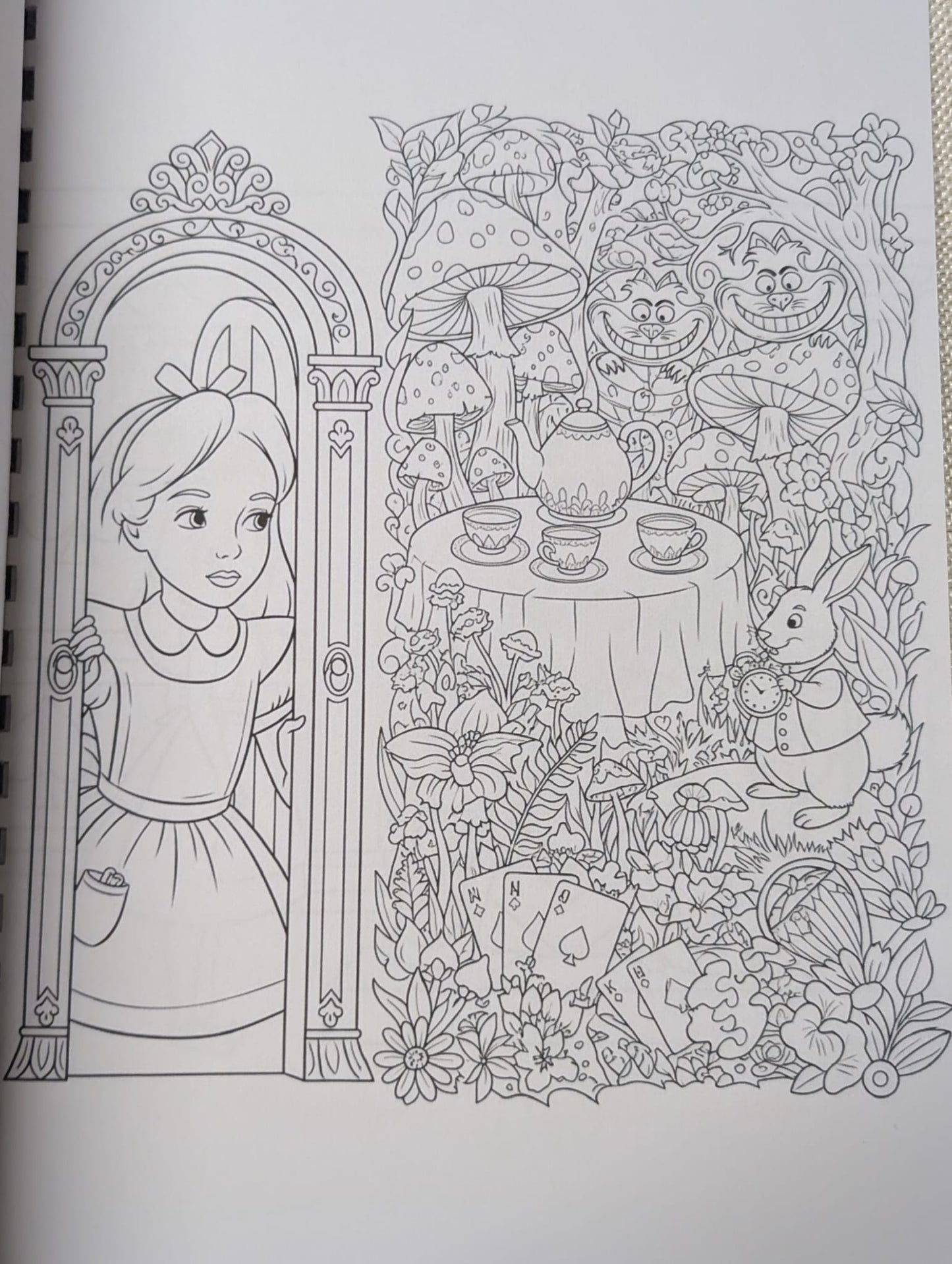Alice in Wonderland Colouring Book