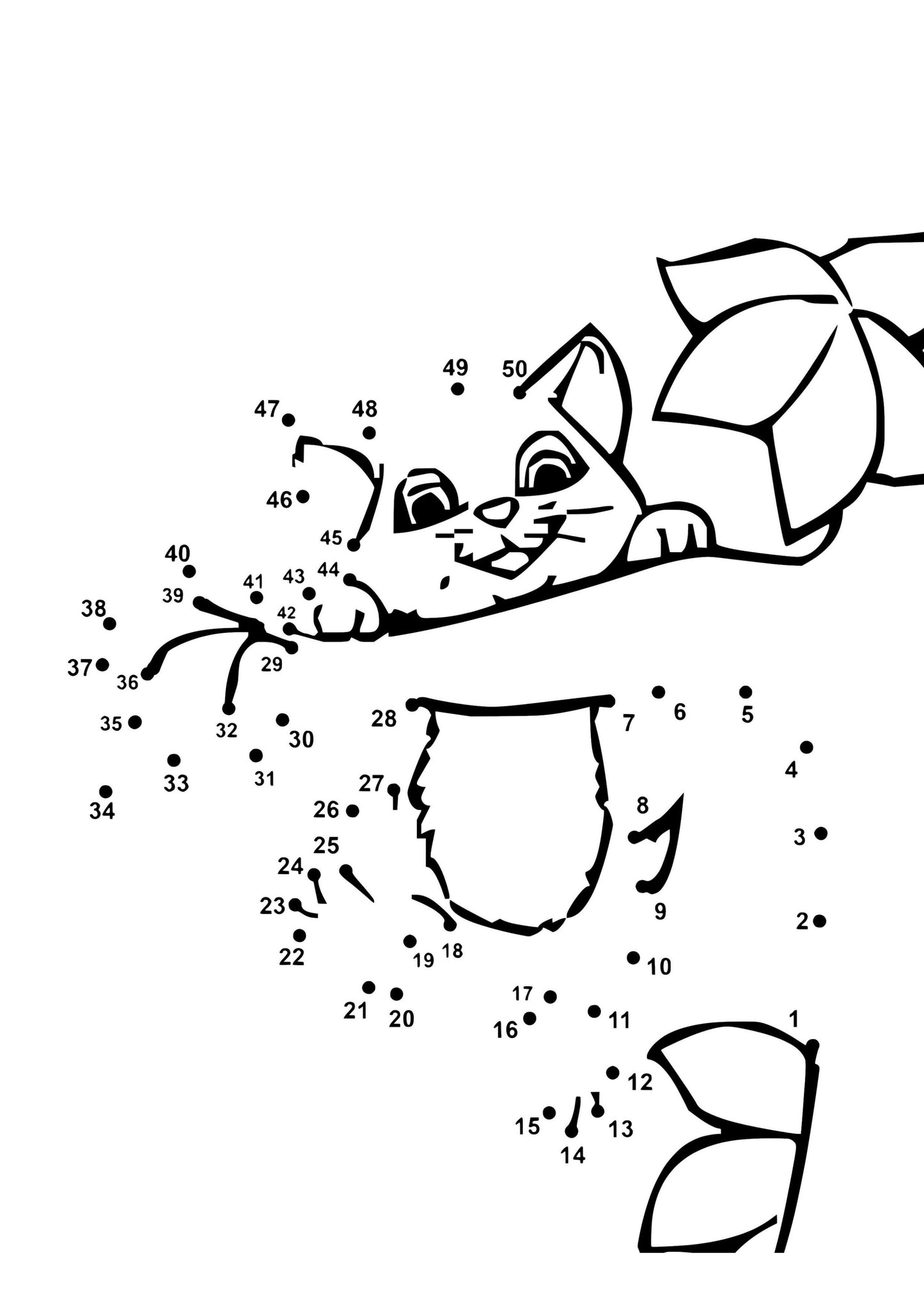 Animal Dot to Dot Colouring Book