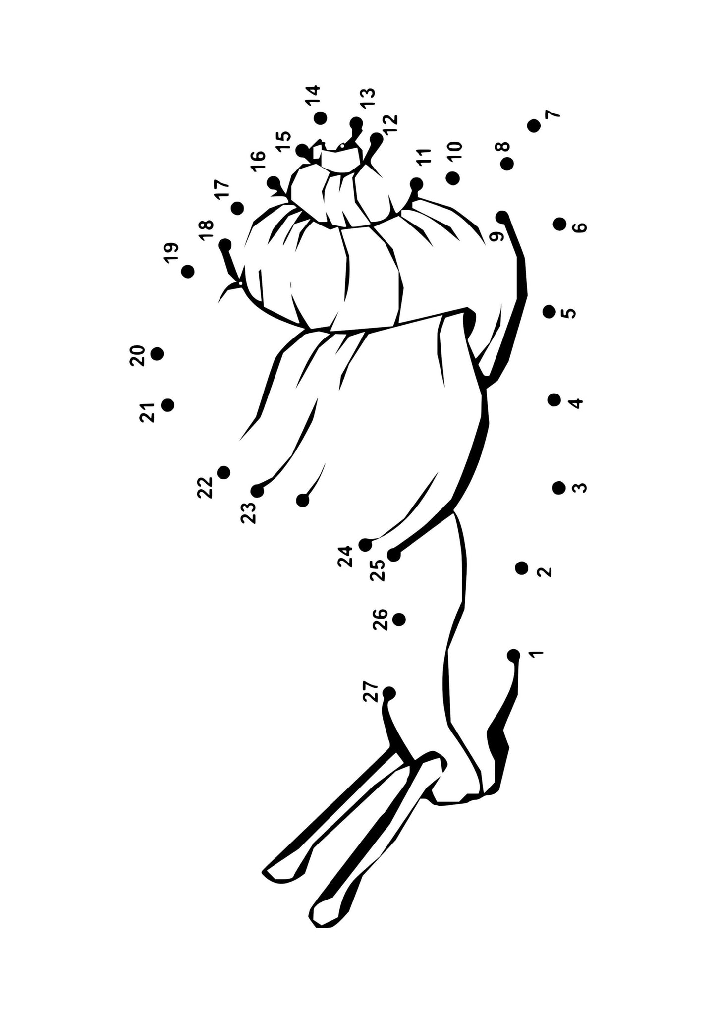 Animal Dot to Dot Colouring Book