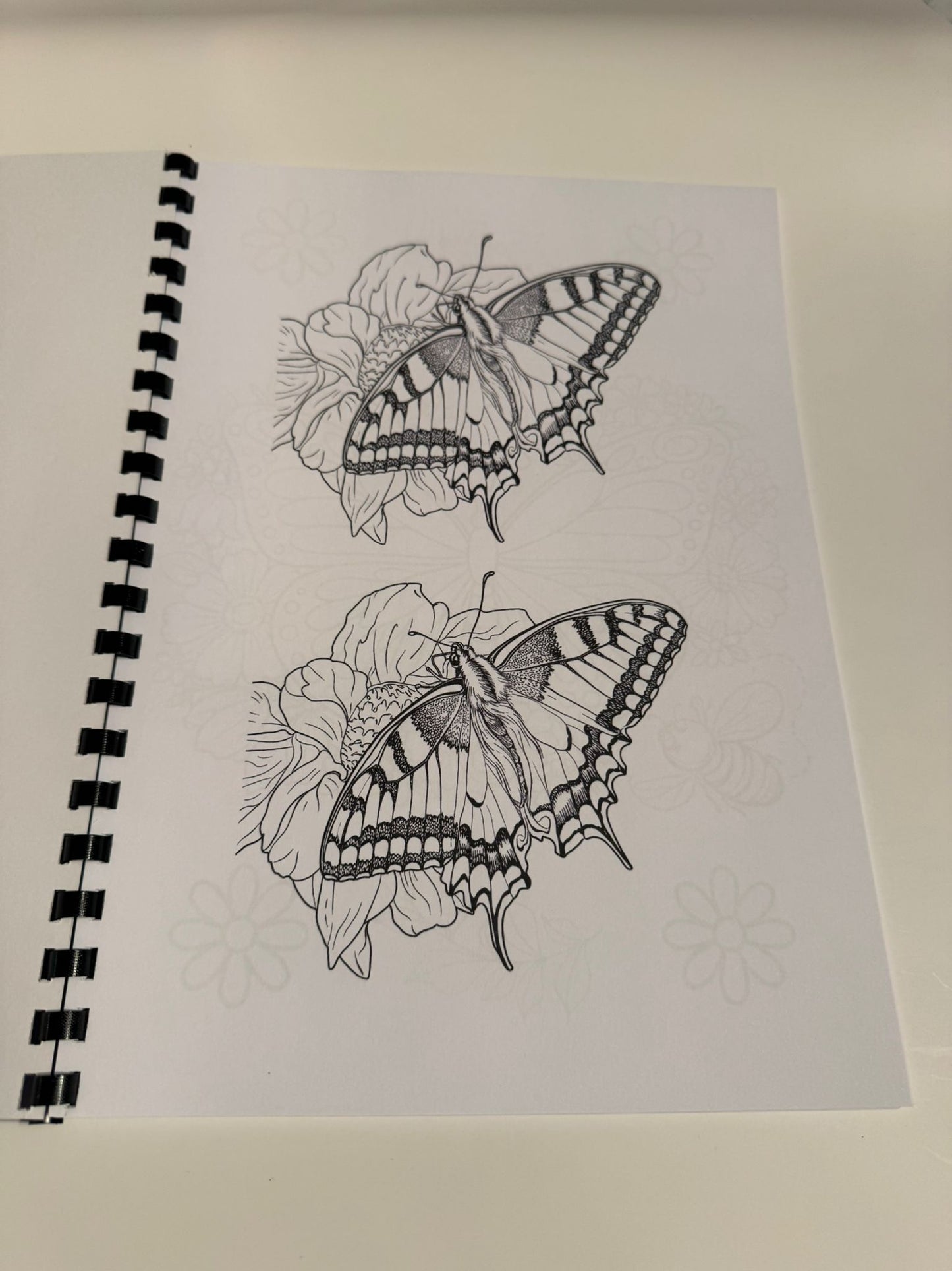 Butterfly Colouring Book