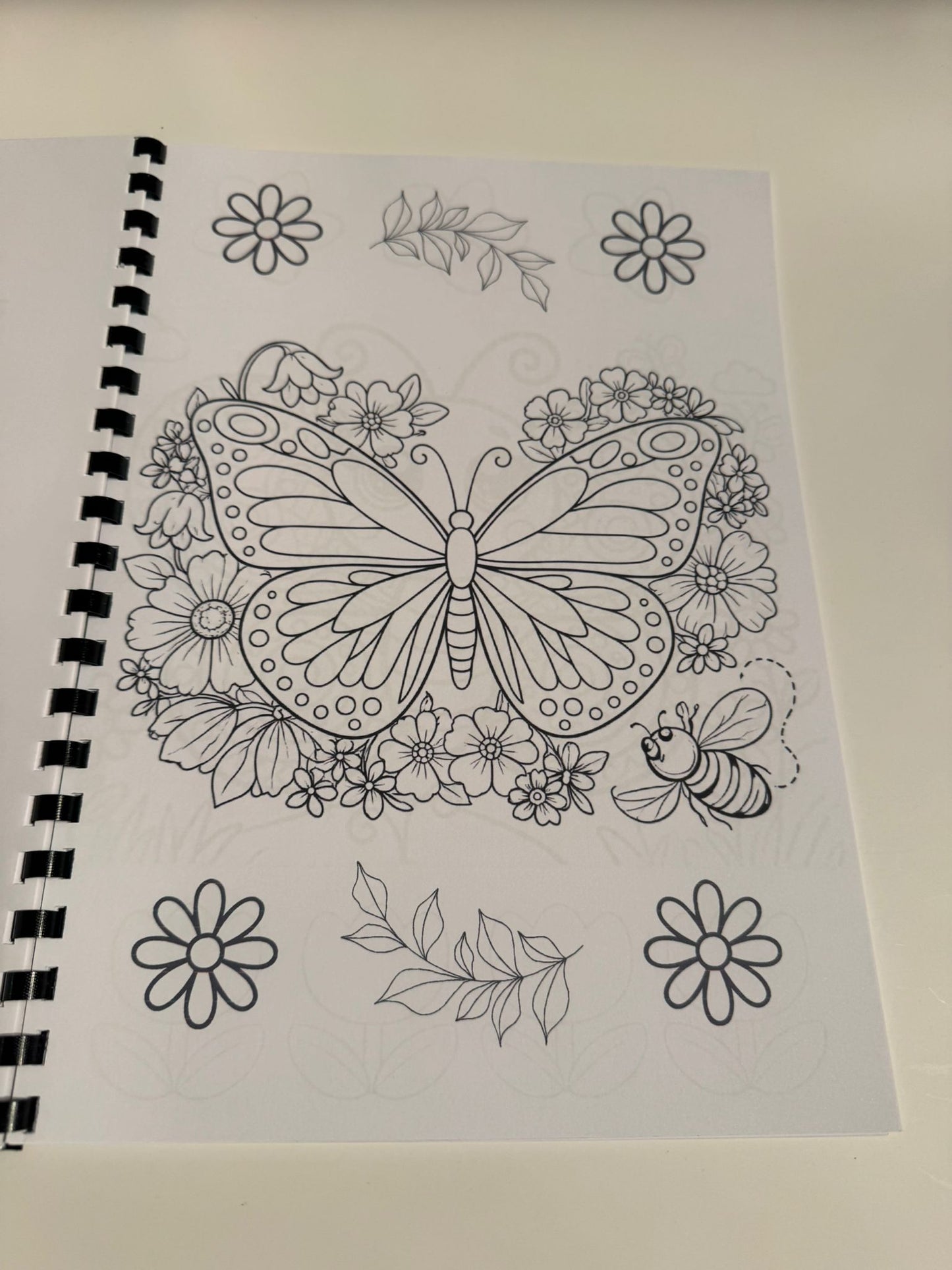 Butterfly Colouring Book
