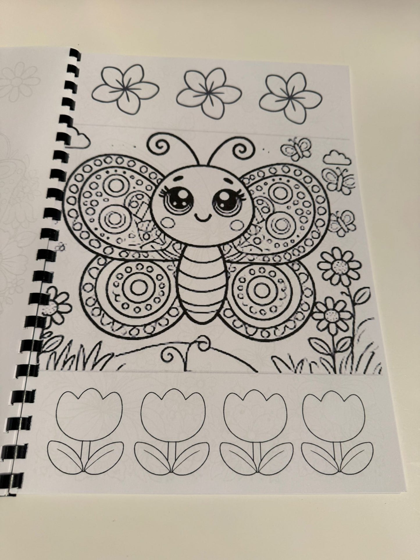 Butterfly Colouring Book
