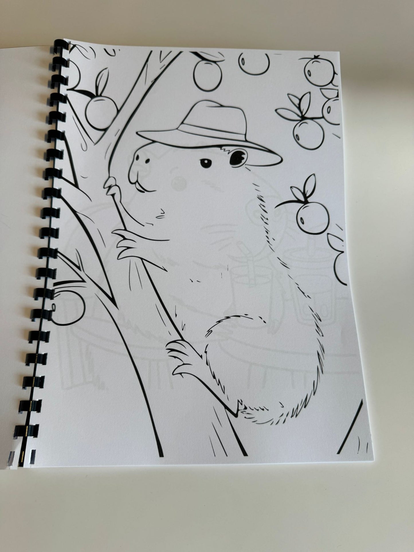 Capybara Colouring Book