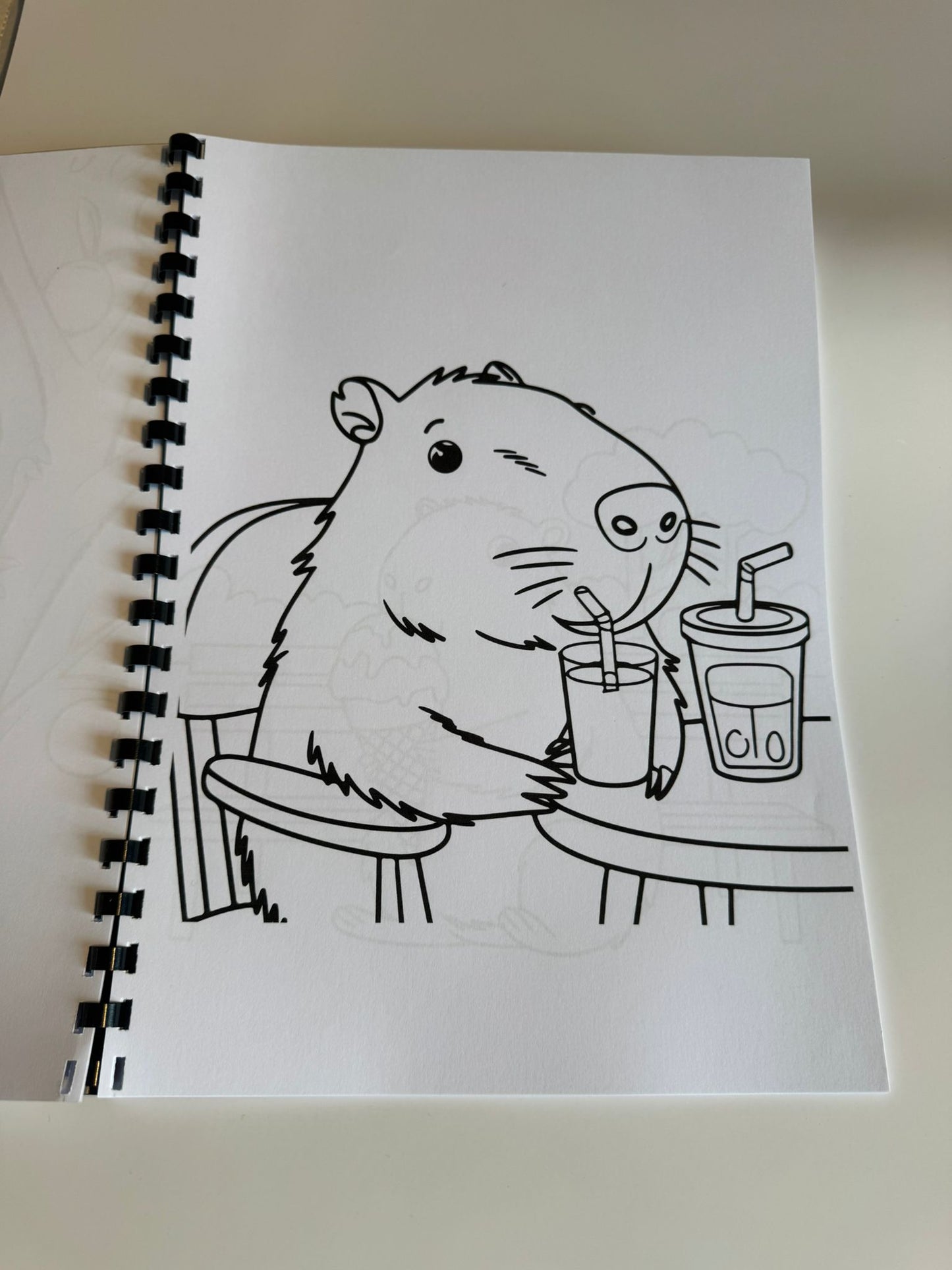 Capybara Colouring Book