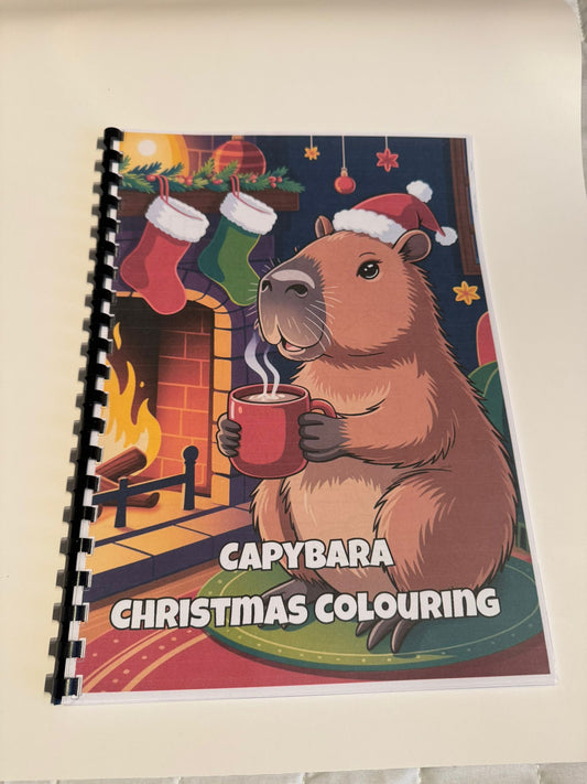 Capybara Christmas Colouring Book