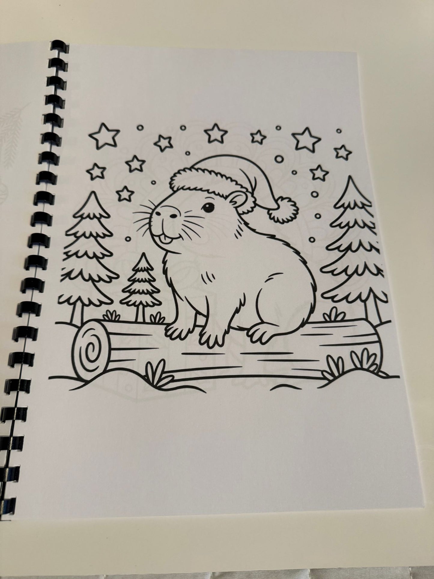 Capybara Christmas Colouring Book