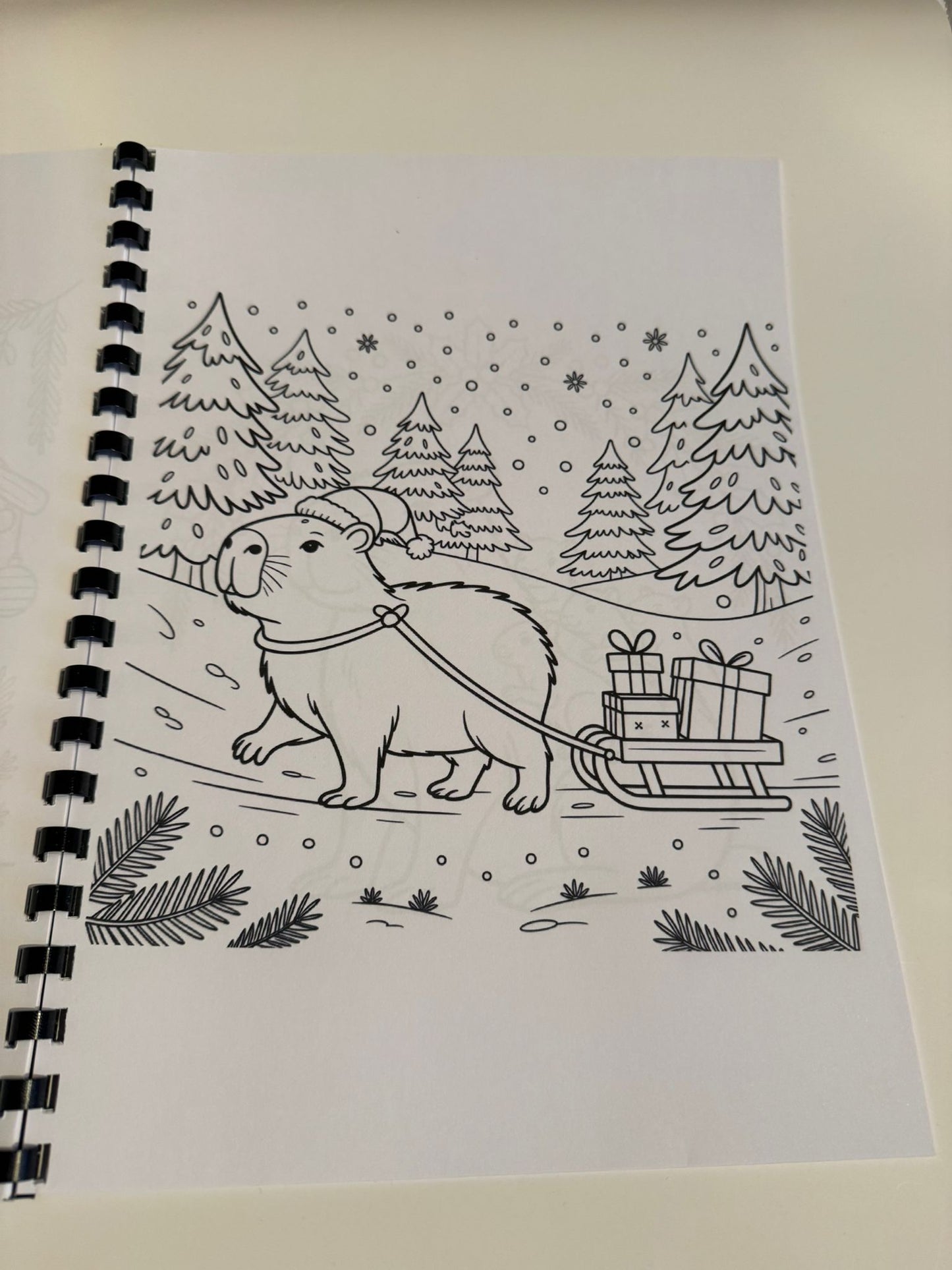 Capybara Christmas Colouring Book