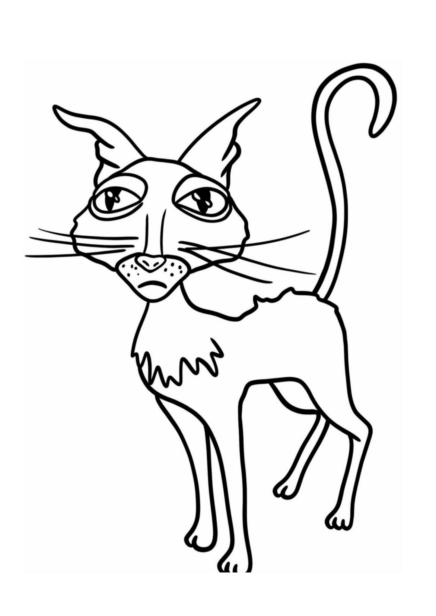 Coraline Colouring Book