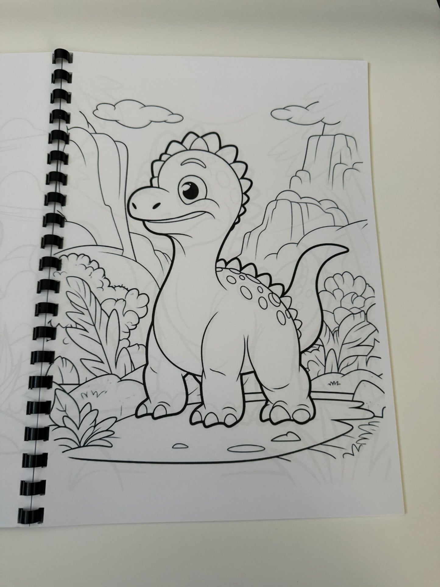 Dinosaurs Colouring Book