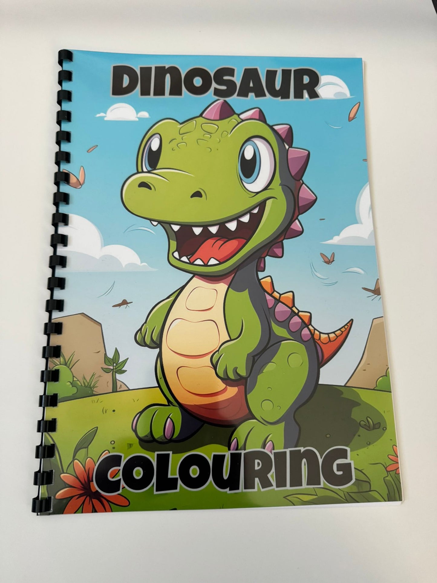 Dinosaurs Colouring Book