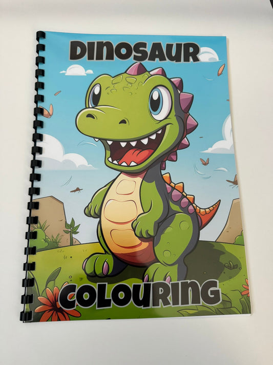 Dinosaurs Colouring Book