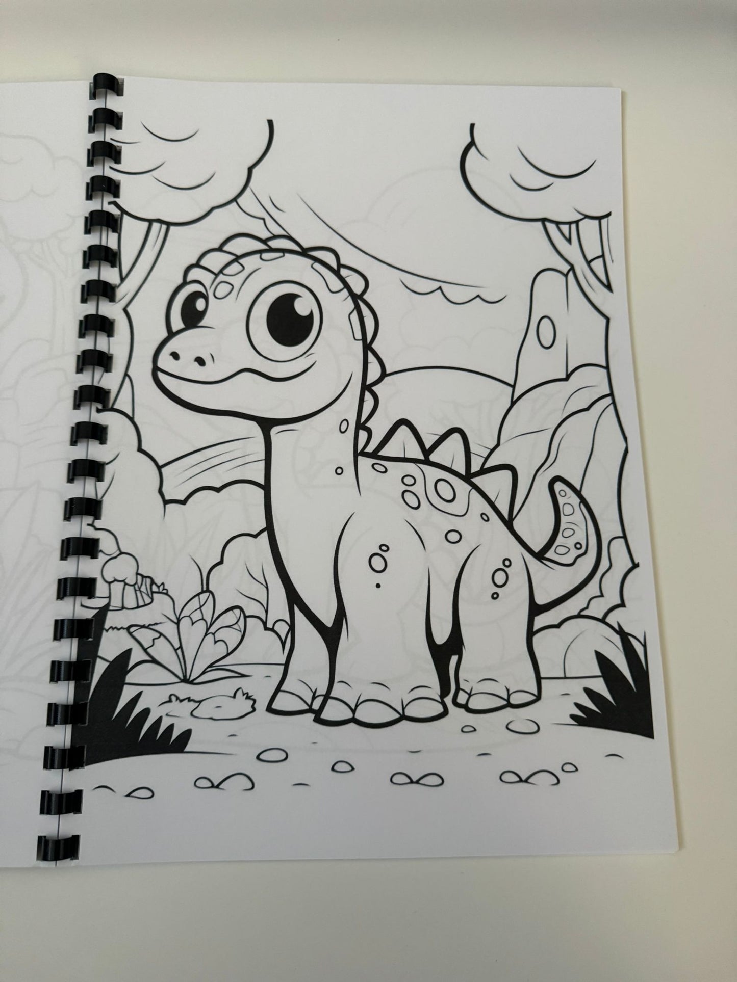 Dinosaurs Colouring Book
