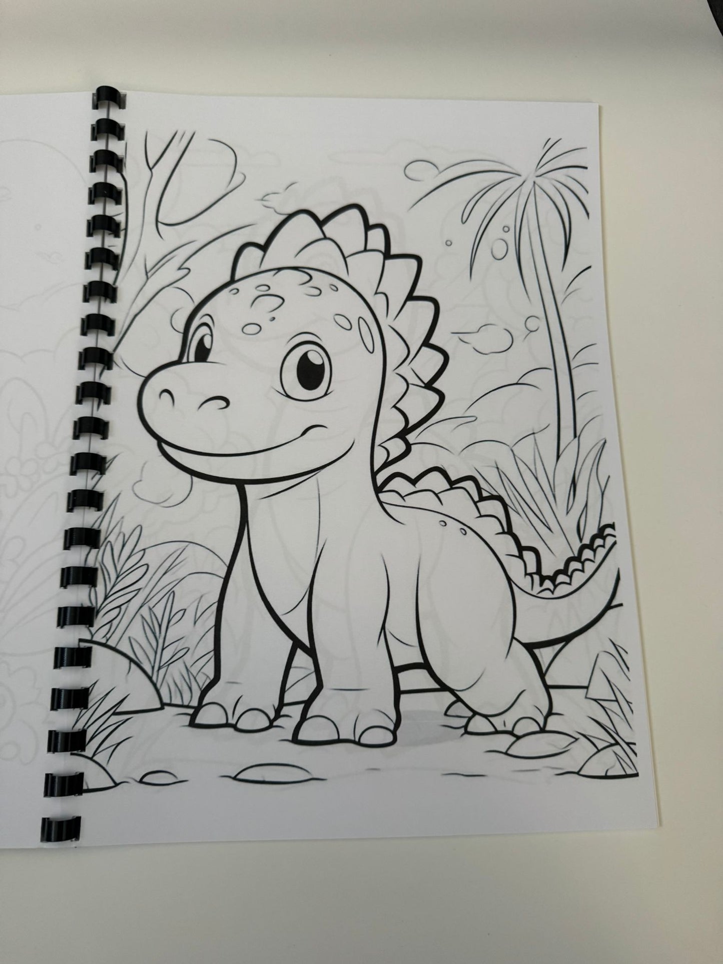 Dinosaurs Colouring Book