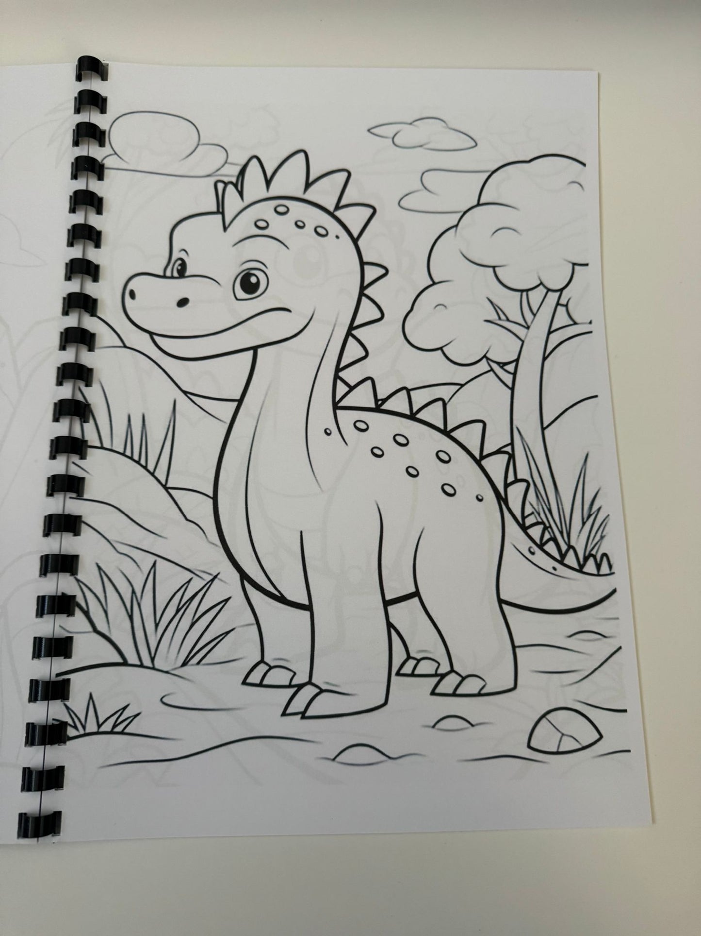Dinosaurs Colouring Book