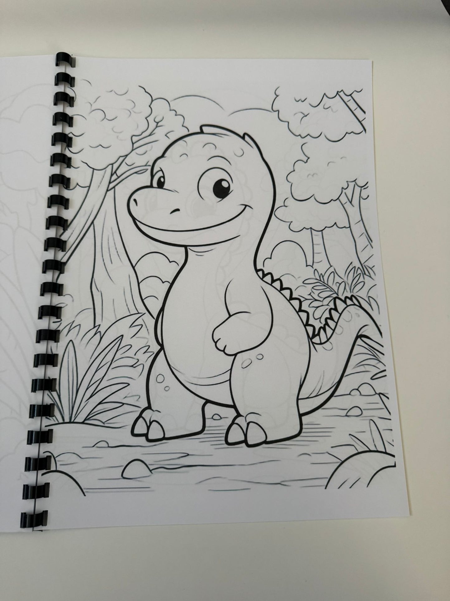 Dinosaurs Colouring Book