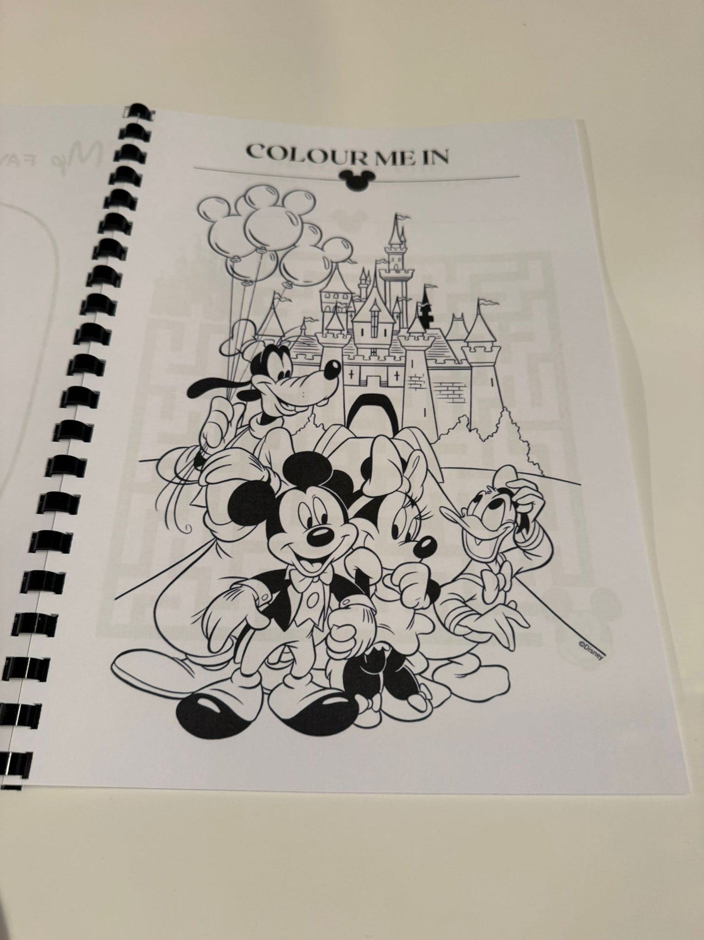 Disneyland Colouring Book