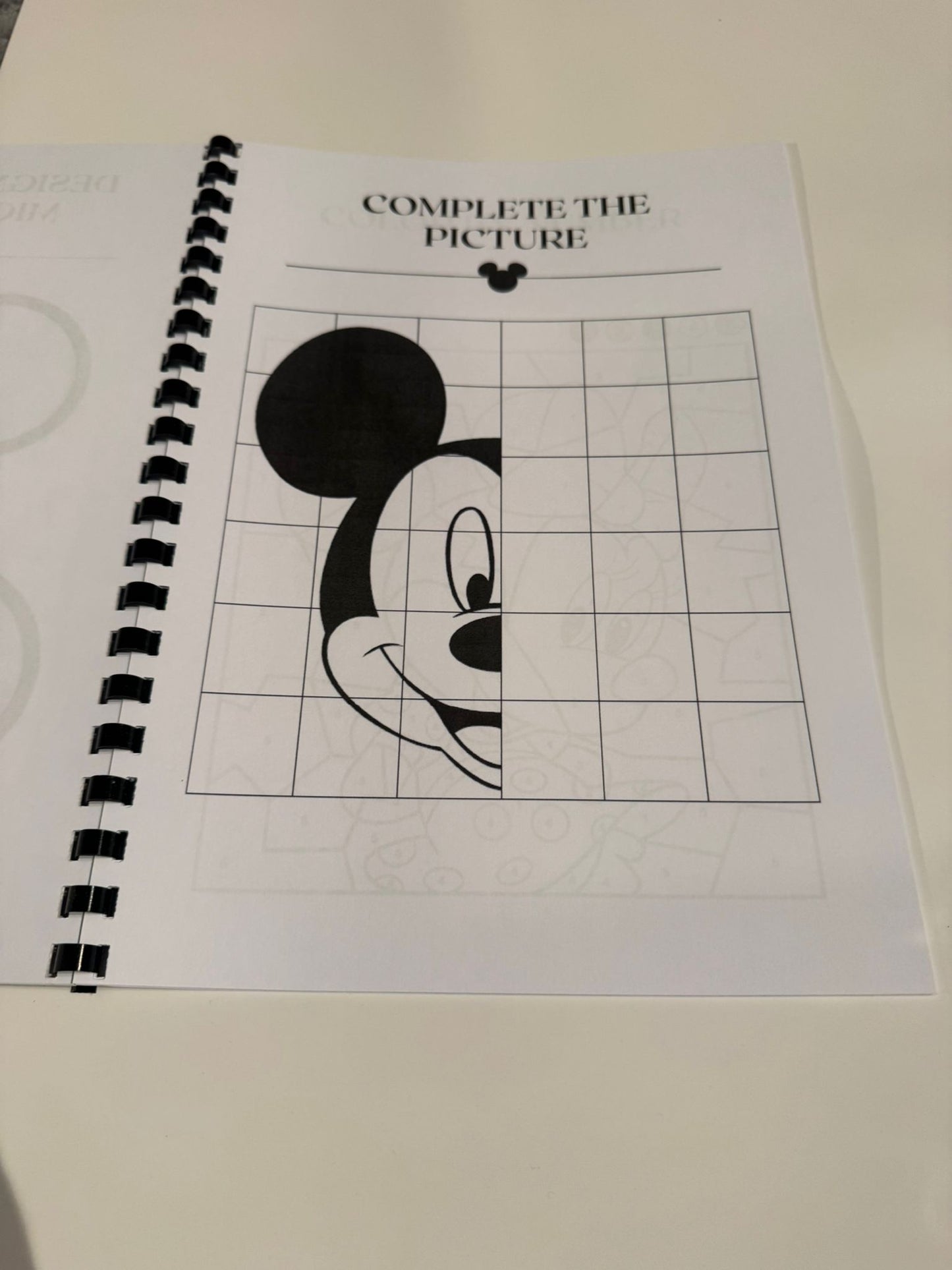 Disneyland Colouring Book