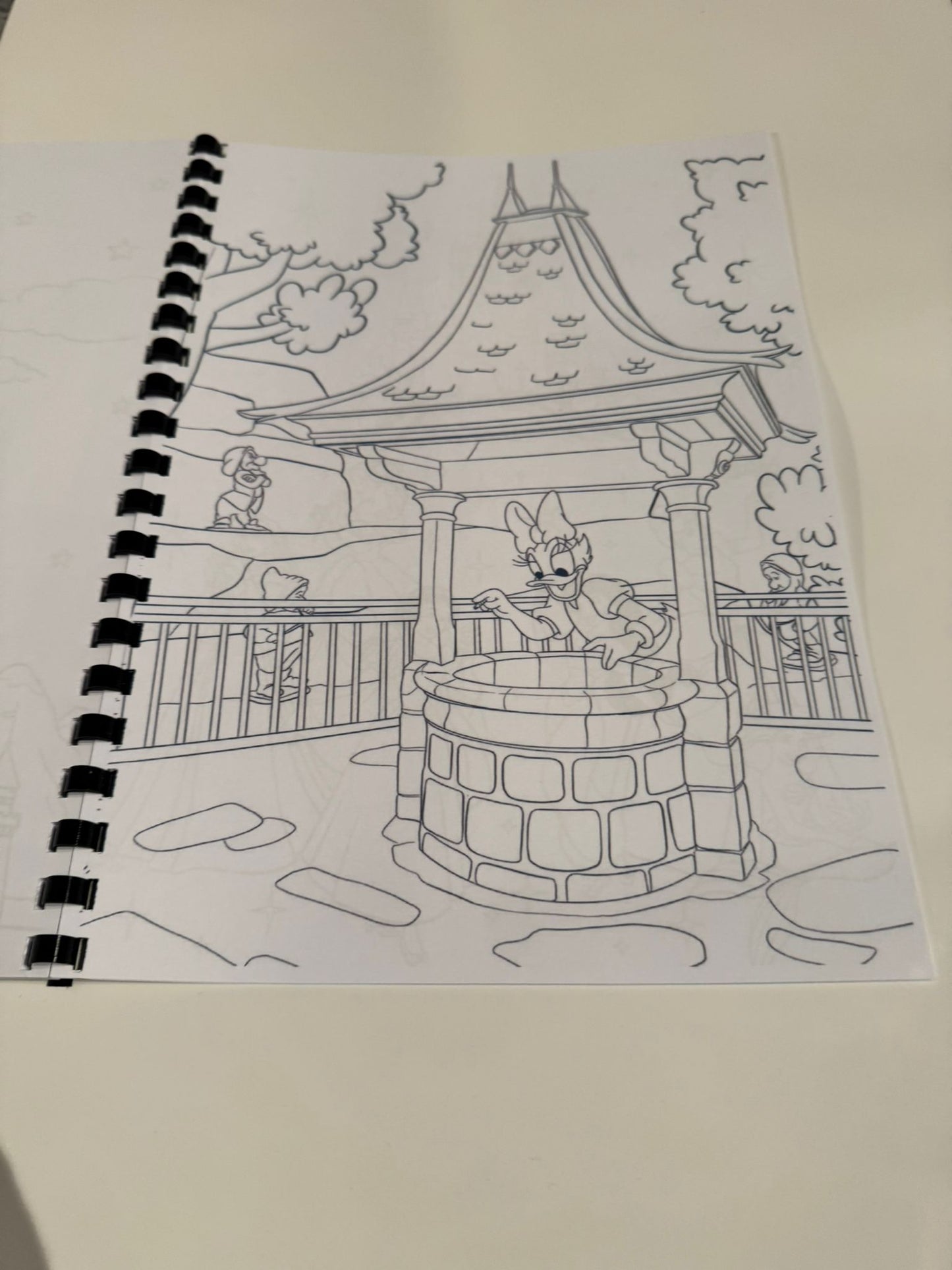 Disneyland Colouring Book