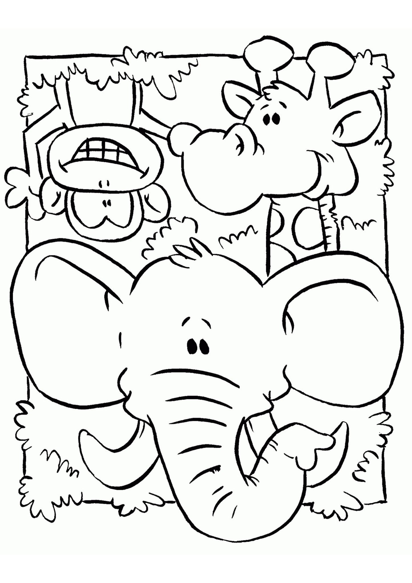 Jungle Animals Colouring Book