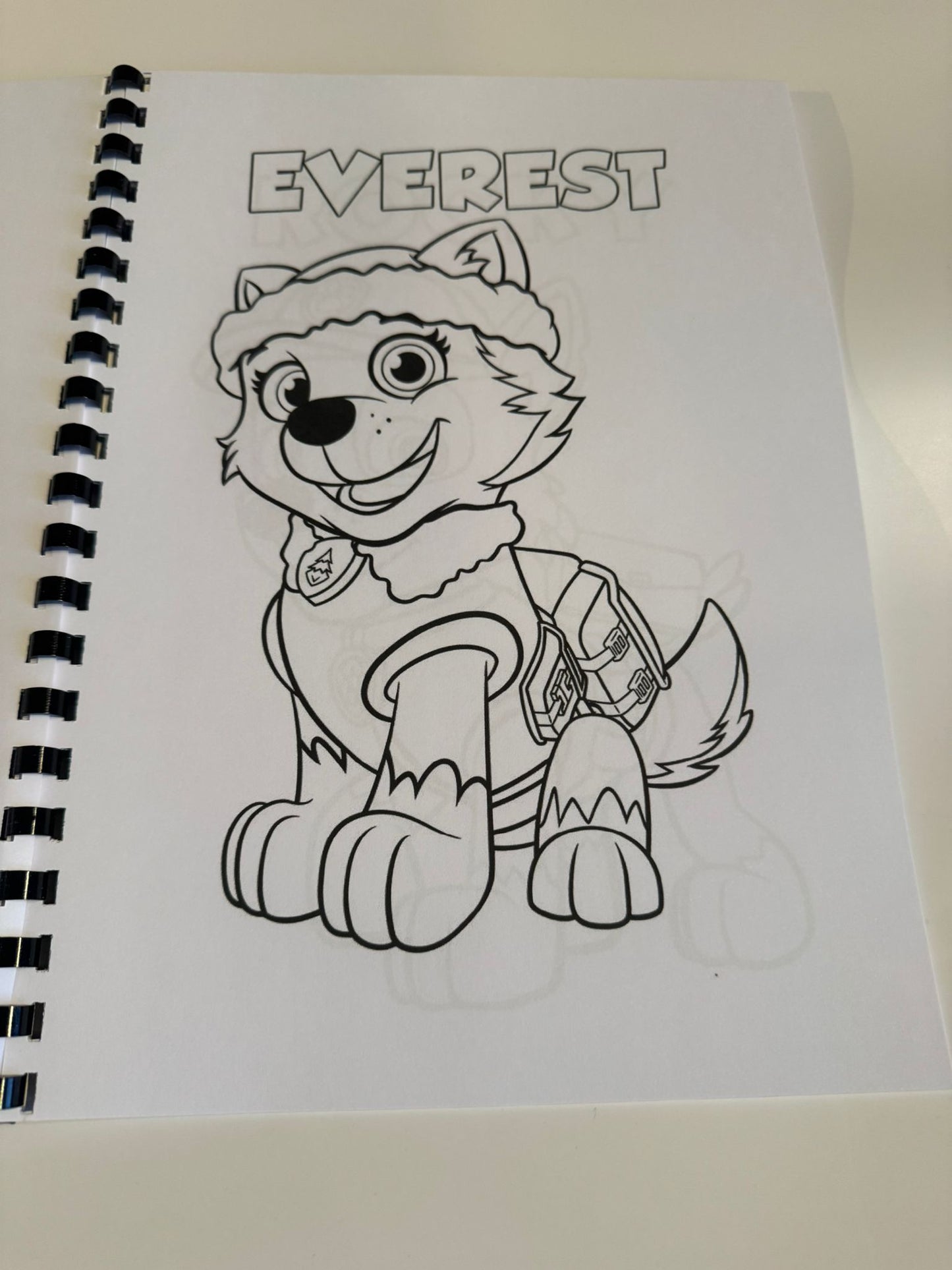 Paw Patrol Colouring Book
