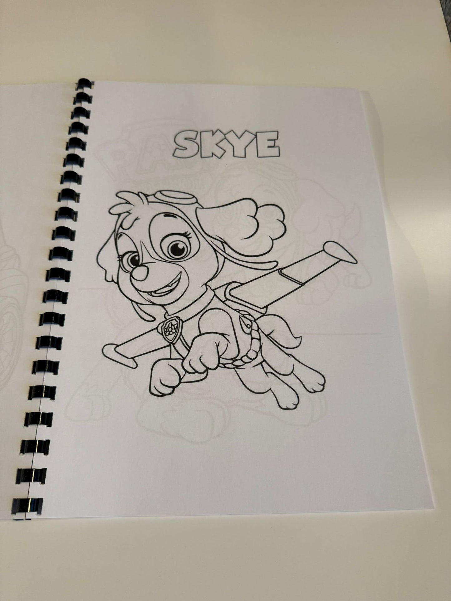 Paw Patrol Colouring Book
