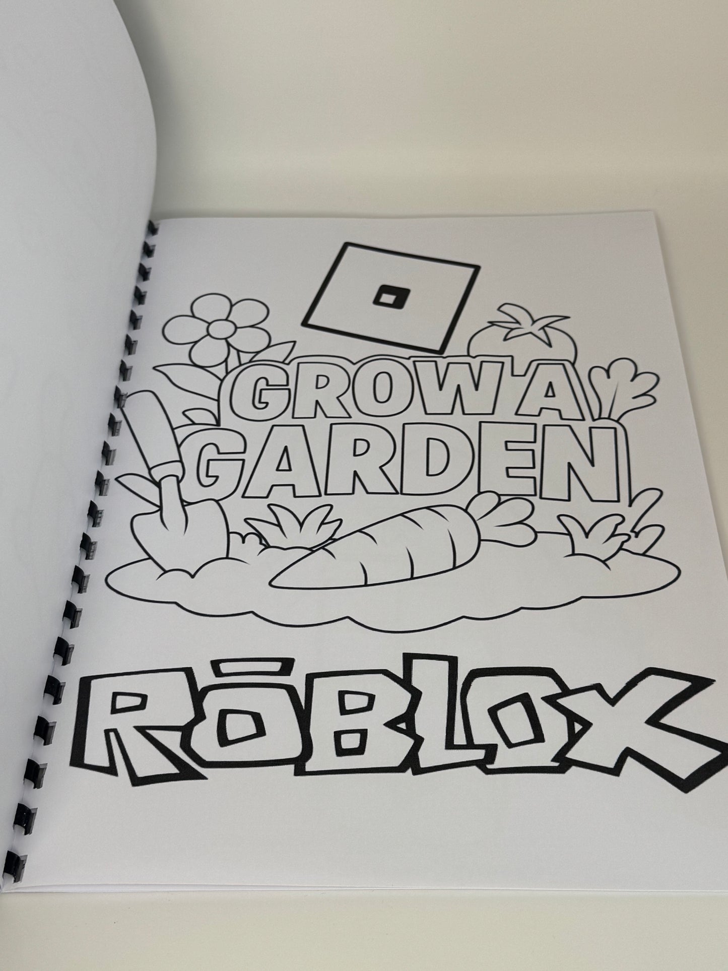 Robox Colouring Book