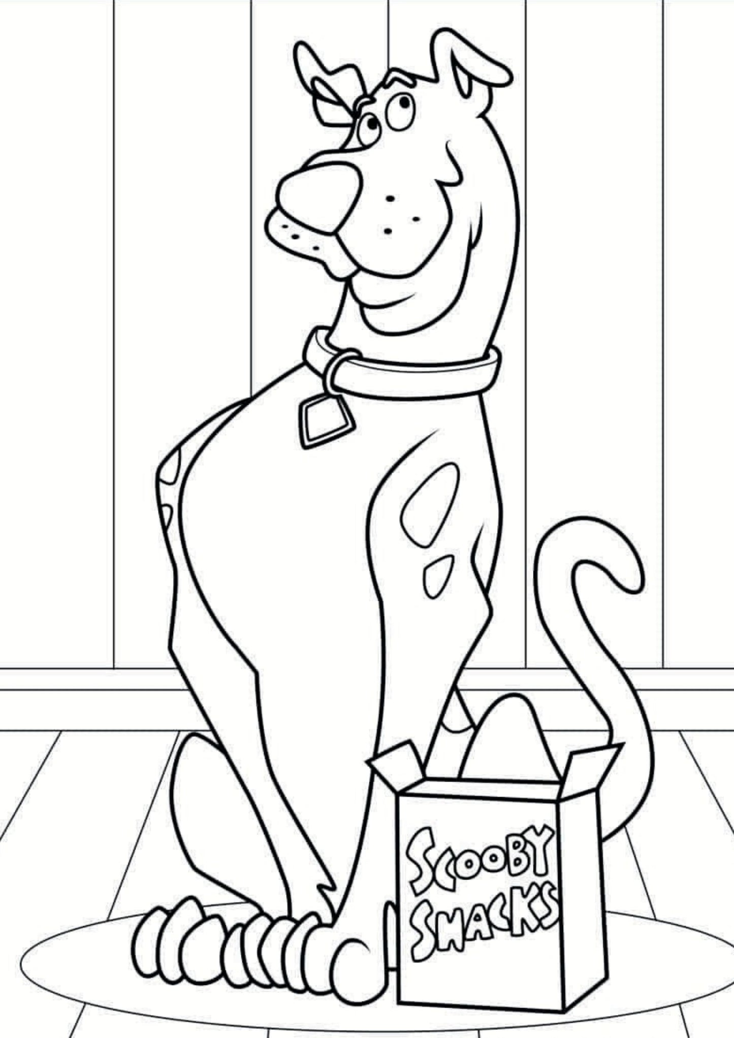 Scooby Doo Colouring Book