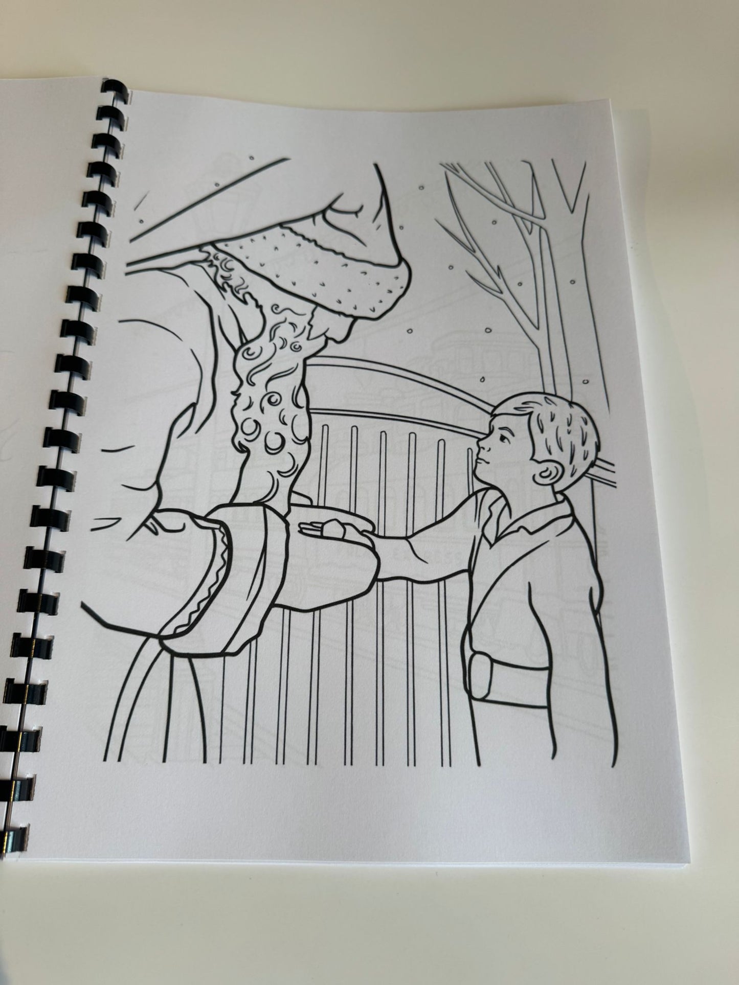 The Polar Express Colouring Book