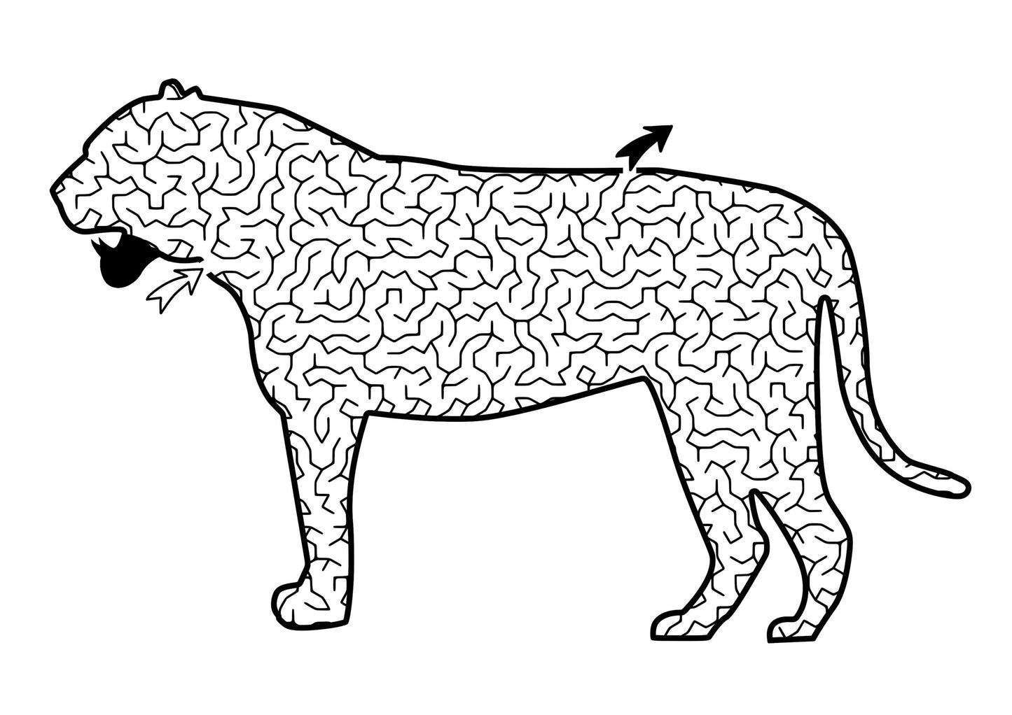 Travel Maze Colouring Book