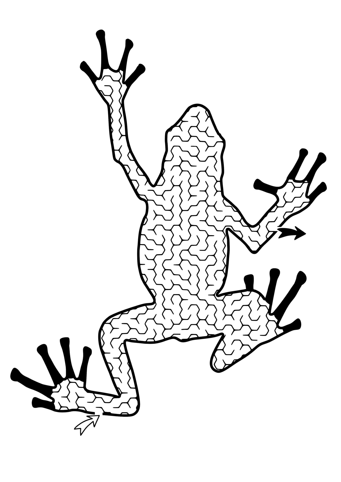 Travel Maze Colouring Book