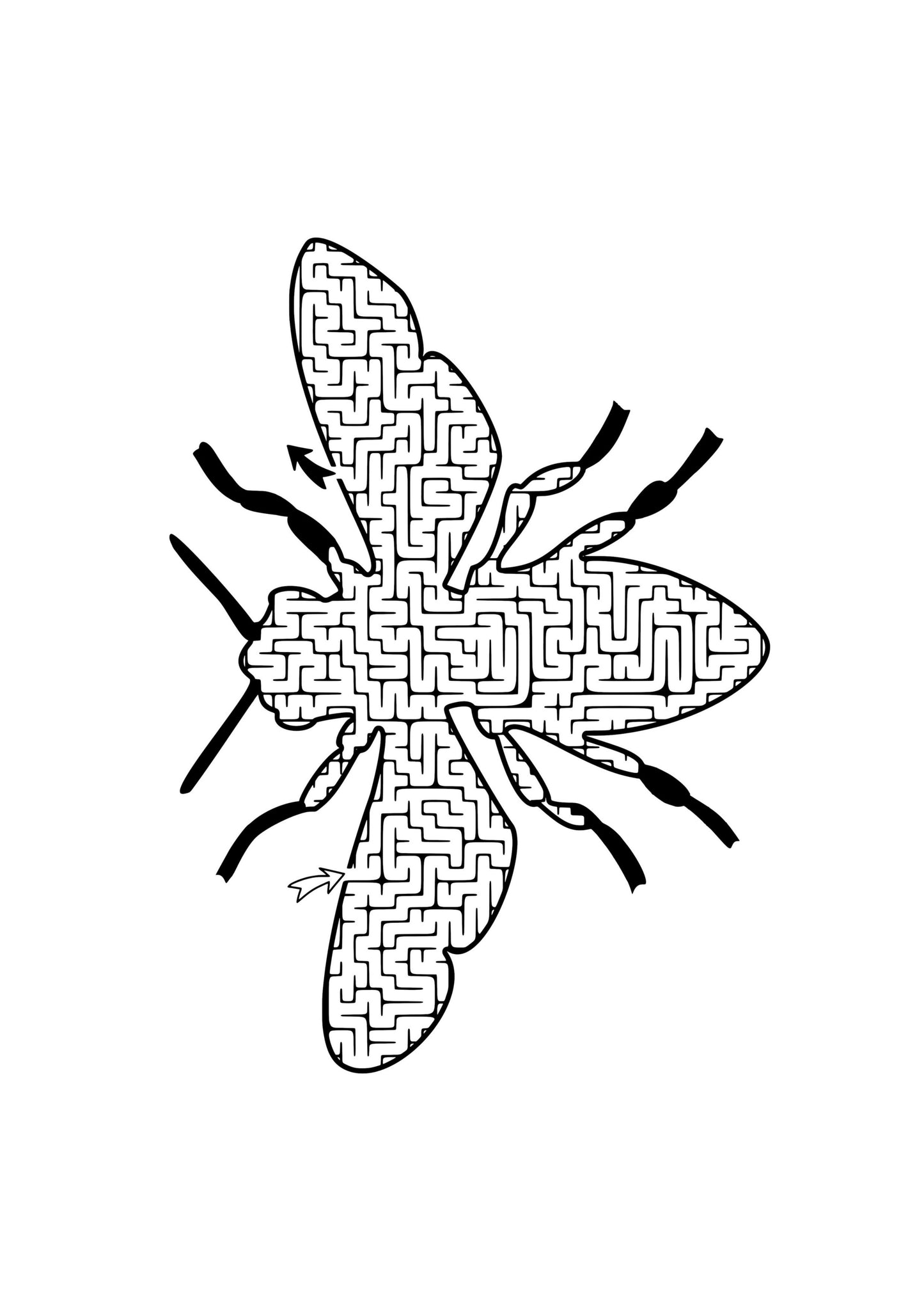 Travel Maze Colouring Book