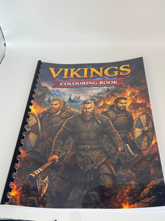 Vikings Colouring Book